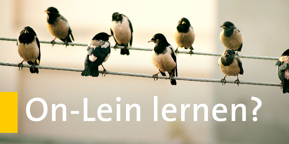 On-Lein lernen